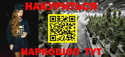 гидра Новокубанск
