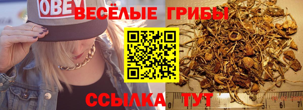 Семилуки  Псилоцибиновые грибы прущие грибы  Вход с VPN 
