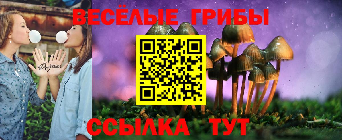 Псилоцибиновые грибы GOLDEN TEACHER Семилуки
